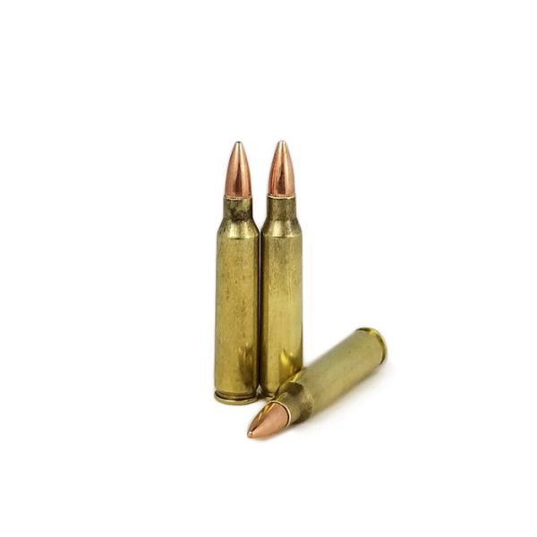 .223 Rem Target/Practice