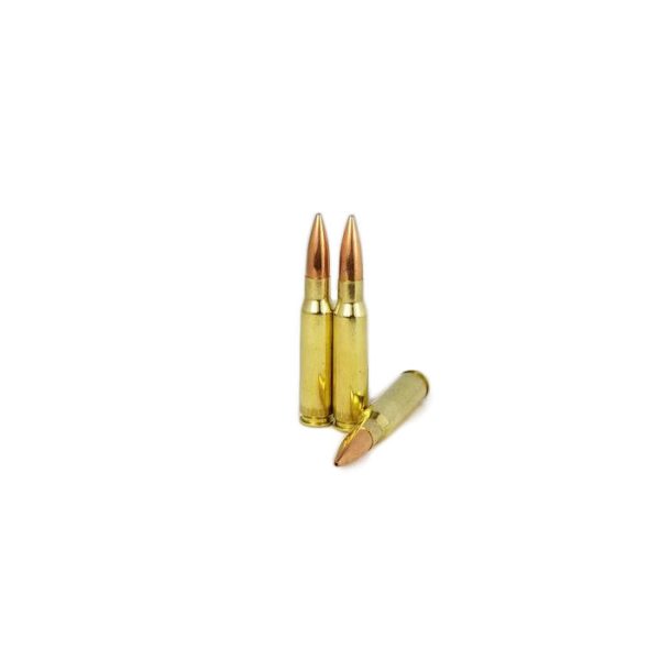 308 WIN