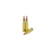 308 WIN
