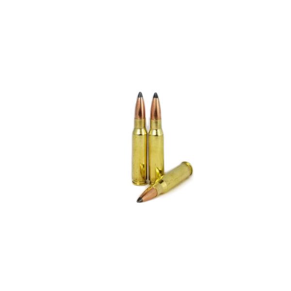 308 WIN