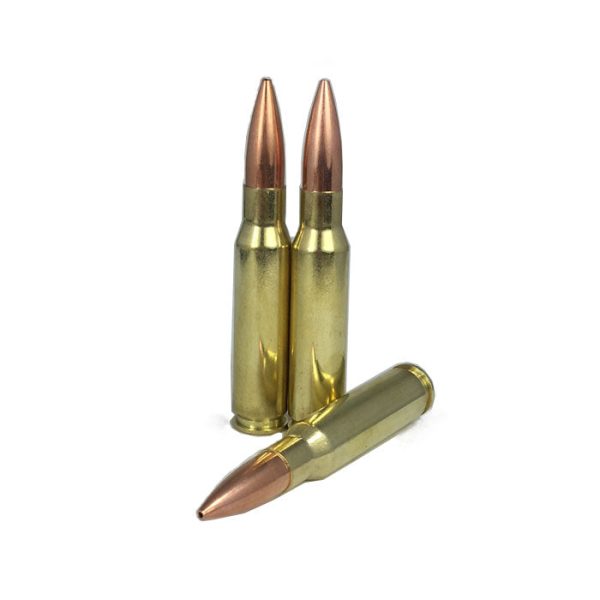 308 WIN