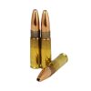 300 AAC Blackout Hollow Point