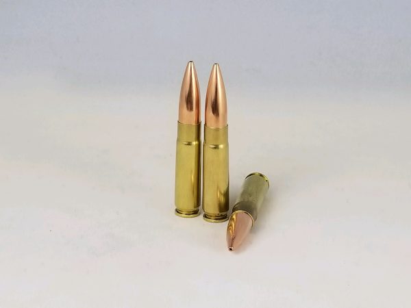300 AAC Blackout Hollow Point