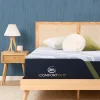 iComfortECO Foam Mattress