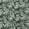 Laura Ashley Bramble Floral Cotton Green Duvet Cover Bonus Set